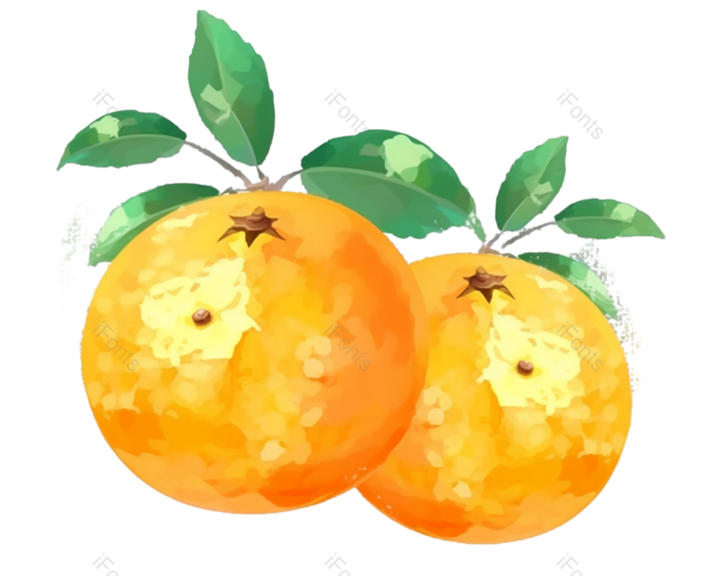清新图片,夏天元素,插画PNG,水果免抠素材